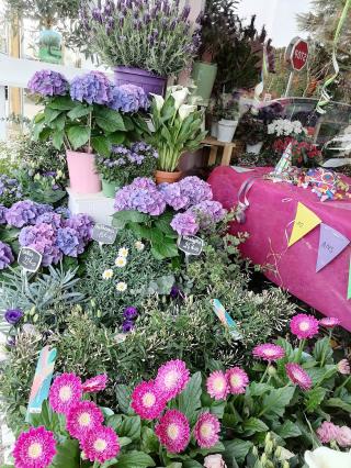 Fleuriste Fleurs & Passion : Chesne Lucie 0