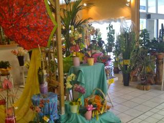 Fleuriste Aurore Fleurs 0