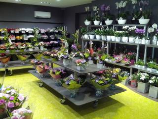 Fleuriste Florea 0