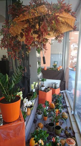 Fleuriste Couleur Florale 1