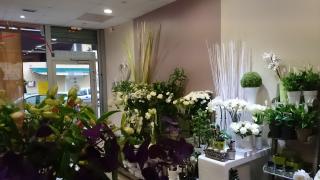 Fleuriste Couleur Florale 0