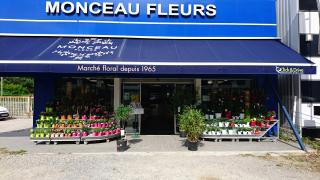 Fleuriste Monceau Fleurs 0