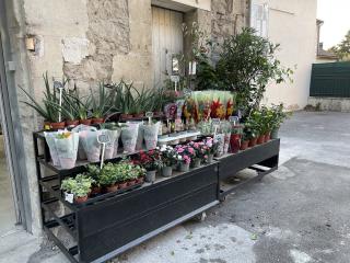 Fleuriste Fleur O Méditerranée, Artisan Fleuriste 0