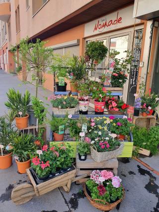 Fleuriste Rainbow Fleurs 0