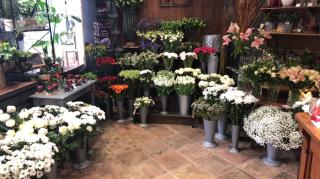 Fleuriste Nymphéas | Fleuriste à Mouvaux 0