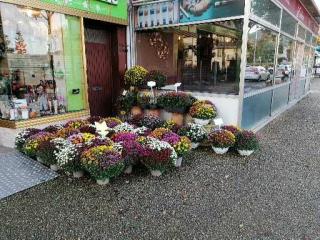 Fleuriste Art F'laure 0