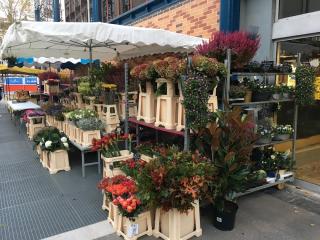 Fleuriste Sif Halles 0