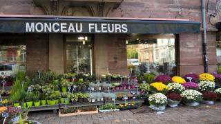 Fleuriste Monceau Fleurs 1