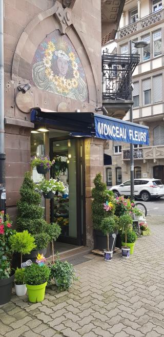 Fleuriste Monceau Fleurs 0