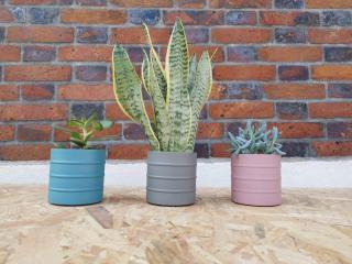 Fleuriste Atelier D'Evelyse 0