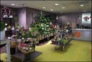 Fleuriste FLOREA 0