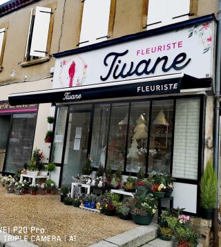 Fleuriste TIVANE FLEURS 0