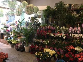 Fleuriste Fleur O Méditerranée, Artisan Fleuriste 1