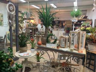 Fleuriste Les Fleurs du Bien 0