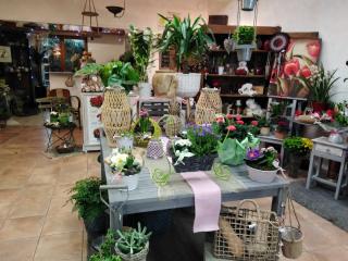 Fleuriste Les Fleurs du Bien 0