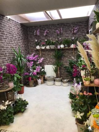 Fleuriste L' Atelier Floral De Caro 0