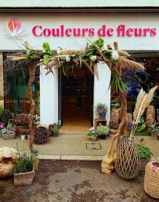 Fleuriste Couleurs de fleurs 0