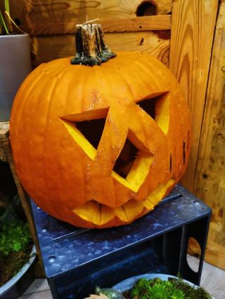 Fleuriste RbyM fleuriste 0