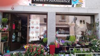 Fleuriste Fleurs en Abondance 0