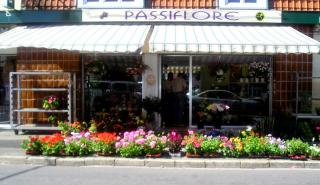 Fleuriste Passiflore 0