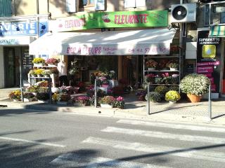 Fleuriste BAR A FLEURS FASHION DECO 0