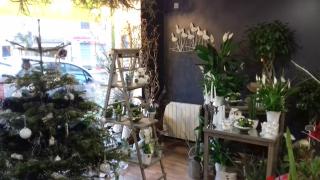 Fleuriste Au Jardin d'Elyanis 0