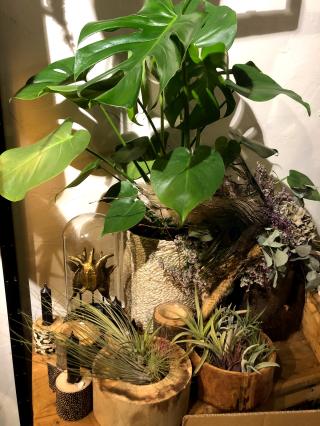 Fleuriste Dubarle Carine,L'Atelier 0