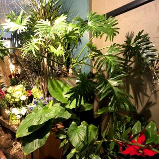 Fleuriste Dubarle Carine,L'Atelier 0