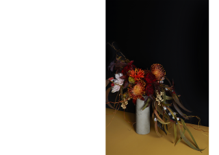 Fleuriste saison studio 0