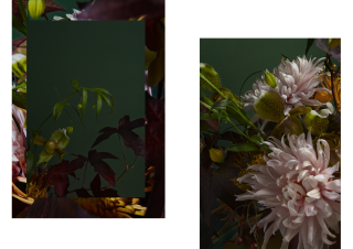 Fleuriste saison studio 0