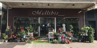 Fleuriste Mellibis Renouveau, Artisan Fleuriste à Agen 0