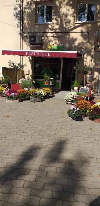 Fleuriste Le Jardin des Fées 0