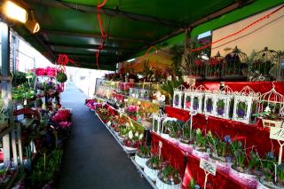 Fleuriste Vert Fleuri, Fleuriste Périgueux 0