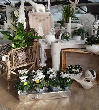 Fleuriste Mary Fleurs 0