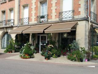 Fleuriste Société Gacéenne de Fleurs SARL 0