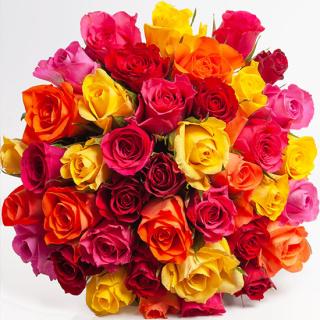 Fleuriste Philo'flore 0