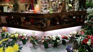 Fleuriste Sabot de Vénus 1