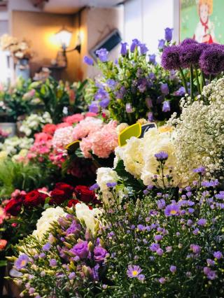 Fleuriste Sabot de Vénus 2