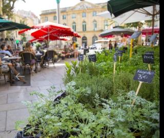 Fleuriste Le Marché Aux Fleurs 0