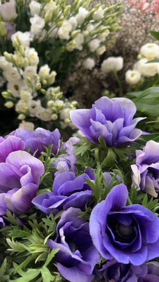 Fleuriste Nacre & Pivoine - Fleuriste créateur 0