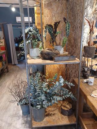 Fleuriste Aubépine Créations Fleuriste 0