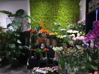 Fleuriste Fleurs Ô Naturel 0