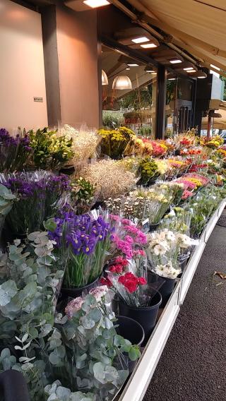 Fleuriste Fleurs Ô Naturel 0