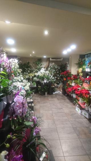 Fleuriste Fleurs Ô Naturel 0