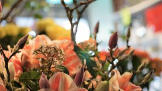 Fleuriste L'Herbe et la Rose 0