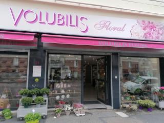 Fleuriste CHRISTINE FLEURS 0