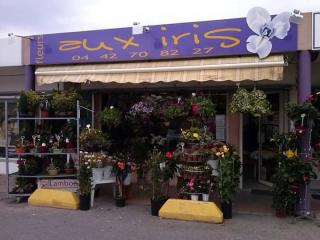 Fleuriste Fleurs aux Iris 0