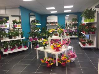 Fleuriste Le Temps D'une Fleur 0