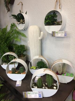 Fleuriste Tendances Fleurs 0