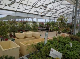 Fleuriste Lombard Nature 0